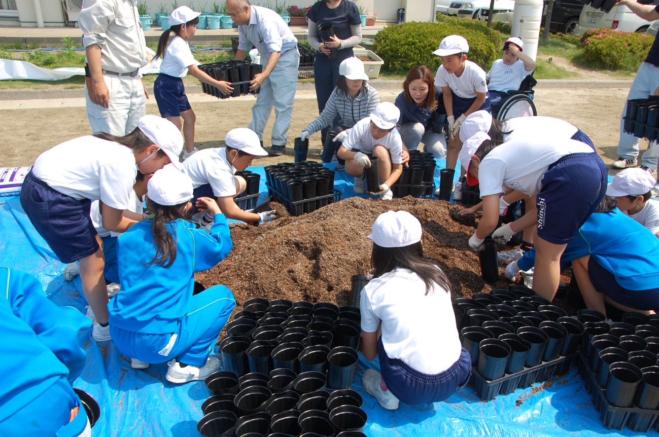 新地小学校の皆さんが一生懸命植え付けを行っている様子の写真